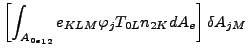 $\displaystyle \left[ \int _{{A_{0e}}_{12}} e_{KLM} \varphi _j T_{0L} n_{2K} dA_e \right] \delta A_{jM}$