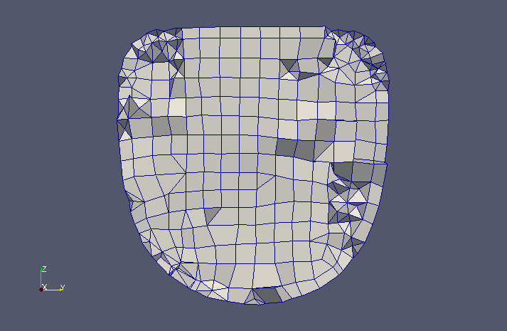 Mesh in XZ plane